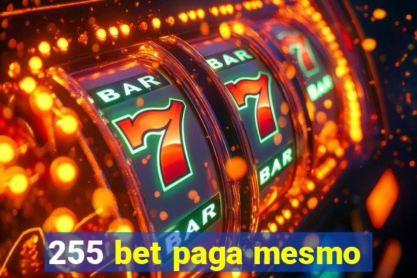 255 bet paga mesmo